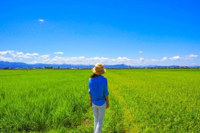青空の下、田んぼの道に立つ女性の後ろ姿